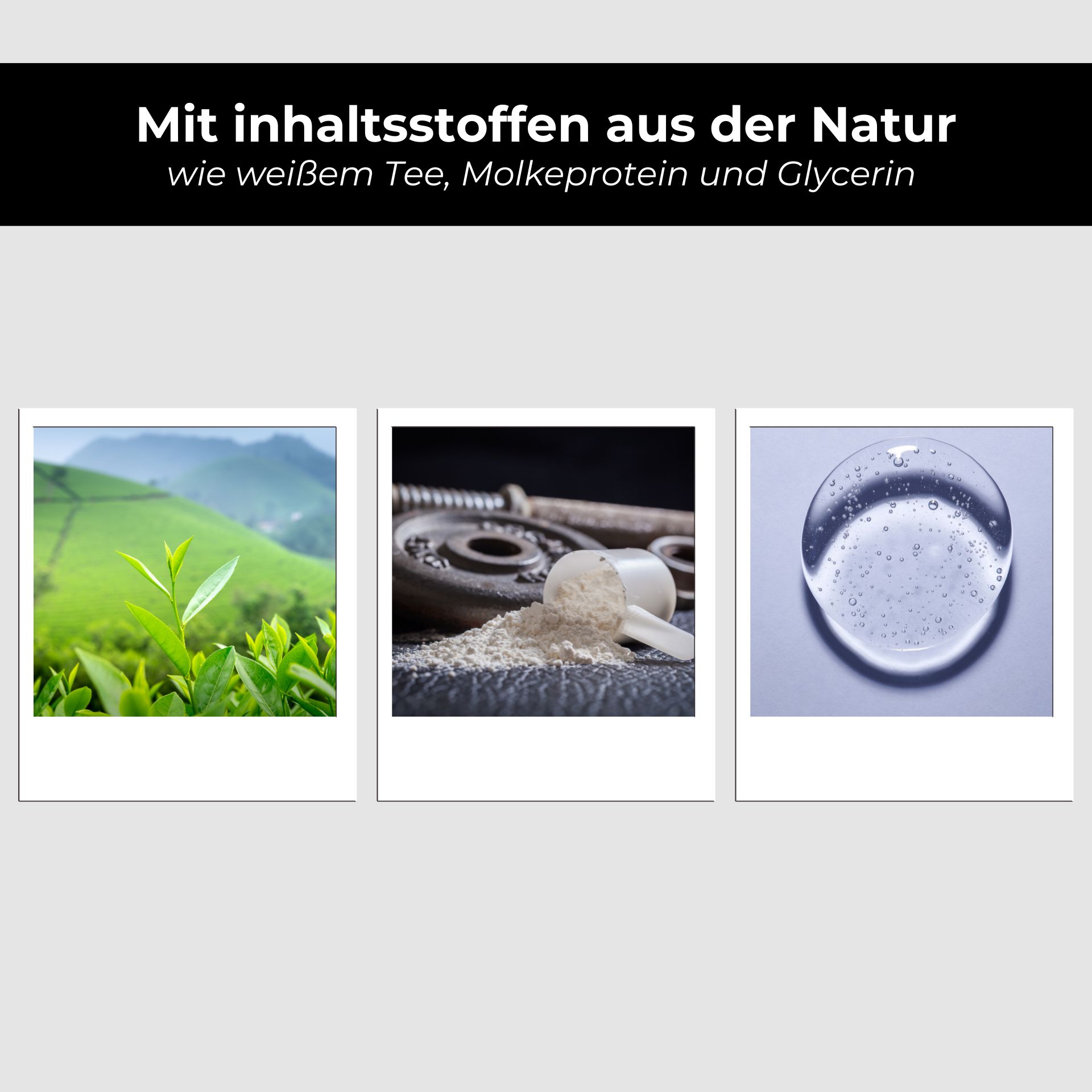 RAU White Tea & Whey Protein Hair Conditioner 250 ml  Kräuterig, Blatt, Boden, Bewuchs, Collage