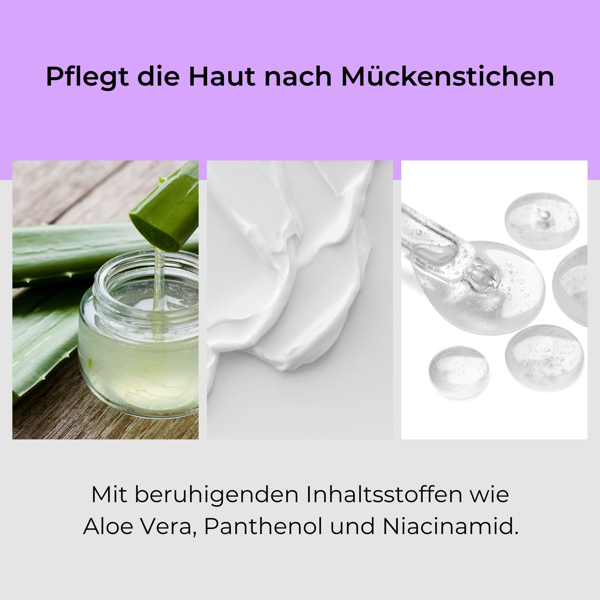 Cura della pelle dopo le punture di zanzara con aloe vera, pantenolo e niacinamide, rappresentata da foglie di aloe vera fresche, una crema e capsule di gel trasparenti.