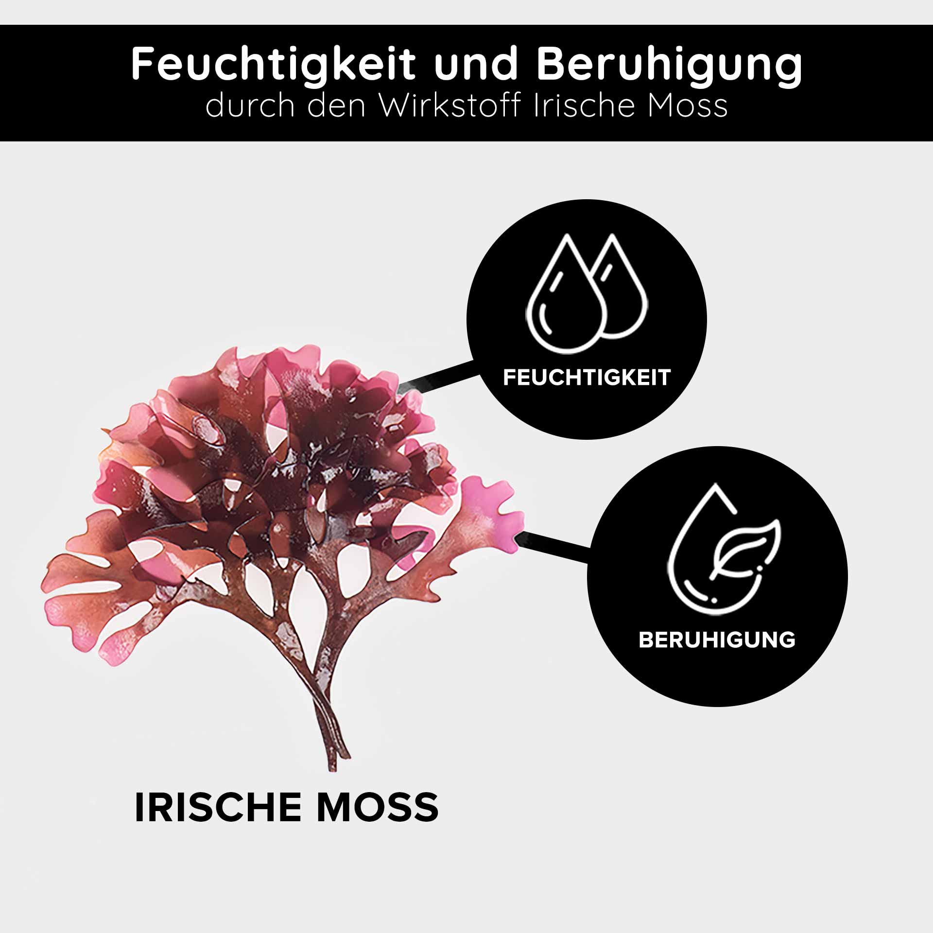 Siero triplo di vitamina C 100 ml con l'11% di acidi di vitamina C RAU Triple Vitamin C Serum mit Irischer Moos, das die feuchtigkeitsspendenden und beruhigenden Eigenschaften betont, mit Symbolen, die für Feuchtigkeit und beruhigende Wirkung stehen.