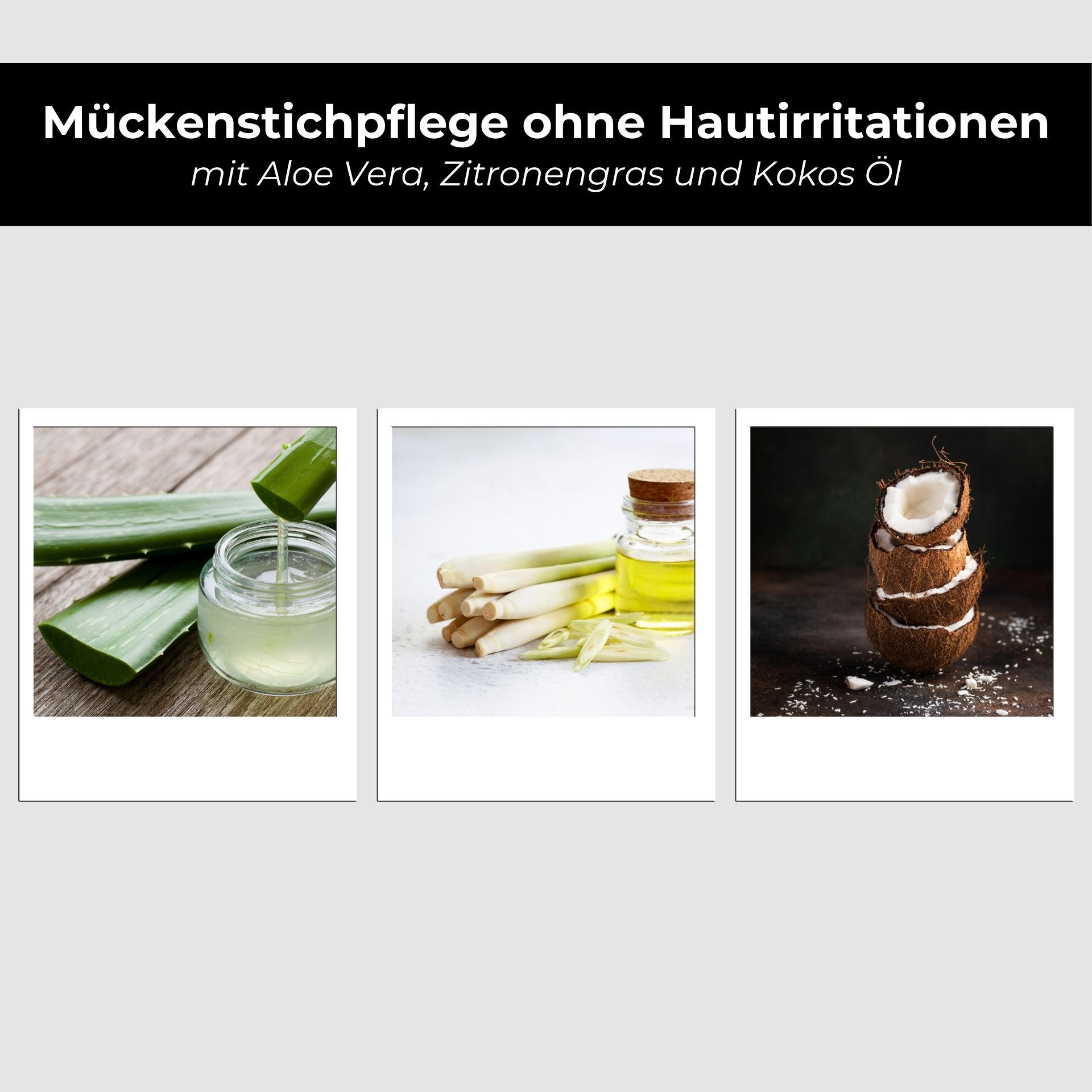 Set antizanzare RAU - Roll-On anti-puntura e anti-puntura Essen, Obst, Pflanze, Produzieren