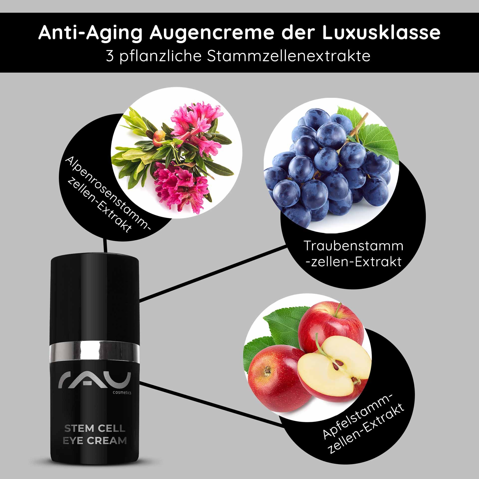 Pflanzliche Wirkstoffe: Illustration von Alpenrose e Apfel, la la Basis per la effektive RAU Augenpflege bilden.