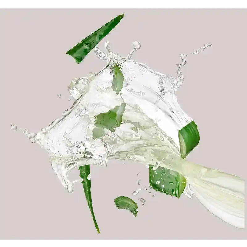 Aloe-Vera Das Spritzen von Aloe Vera-Blättern im Wasser unterstreicht die feuchtigkeitsspendenden und beruhigenden Eigenschaften, die für den Aloe Vera Sensitive Face Cleanser von RAU Cosmetics für empfindliche Haut relevant sind.