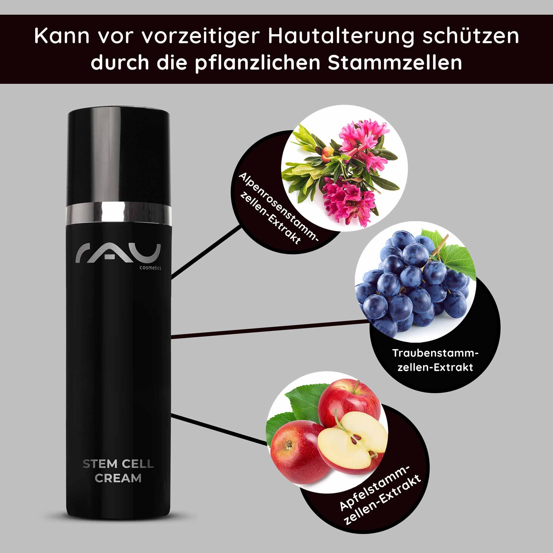 Flacone di RAU Cosmetics Stem Cell Cream con testo che evidenzia i benefici degli estratti di cellule staminali vegetali, tra cui cellule staminali di mela, uva e rosa alpina, per la cura della pelle anti-age.