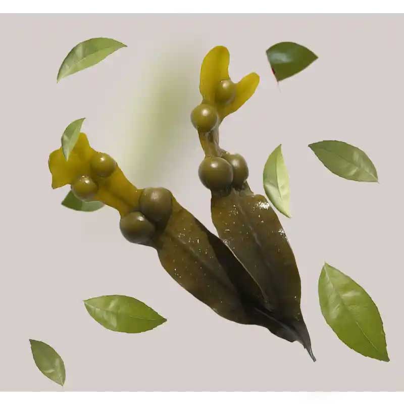 balsentang Blasentang und wilde Pistazie, natürliche Inhaltsstoffe für das Caviar Pore Minimizer Serum von RAU Cosmetics, um Poren zu verfeinern und Feuchtigkeit zu spenden.