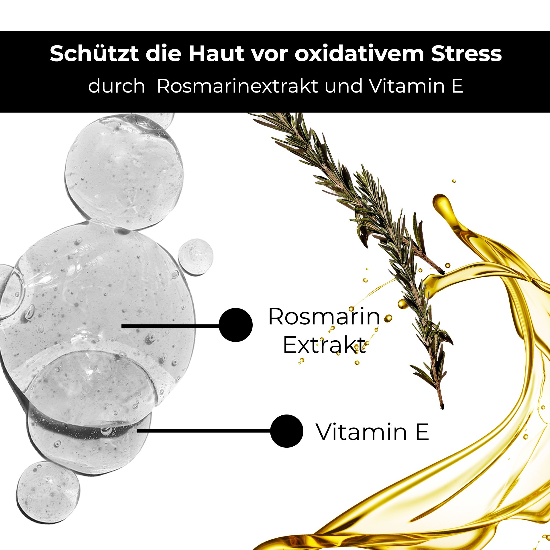 Kräuterig, Kräuter, Pflanze