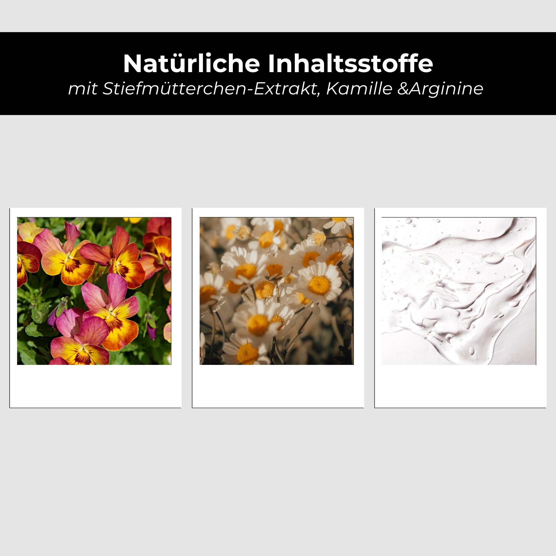 Collage di vari petali di fiori e anemoni che rappresentano gli ingredienti vegetali di Purifying Tonic.