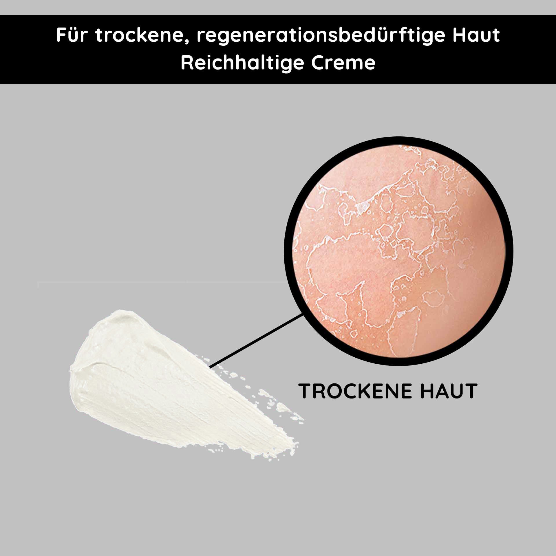 Regeneration con Ginkgo: Illustration del beruhigenden Wirkung su secca pelle per ein erholtes Erwachen.