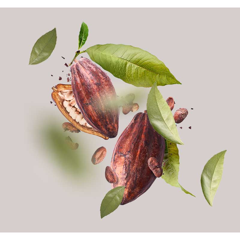 kakao-01 Kakaofrüchte mit grünen Blättern, dargestellt in einem minimalistischen Design, symbolisieren die feuchtigkeitsspendenden Eigenschaften der Beyond Moisturizing 24h Cream von RAU Cosmetics, ideal für trockene Haut.